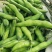 七粒香蚕豆种子鲜食蚕豆种籽南方北方农家菜园大田秋季播蚕豆