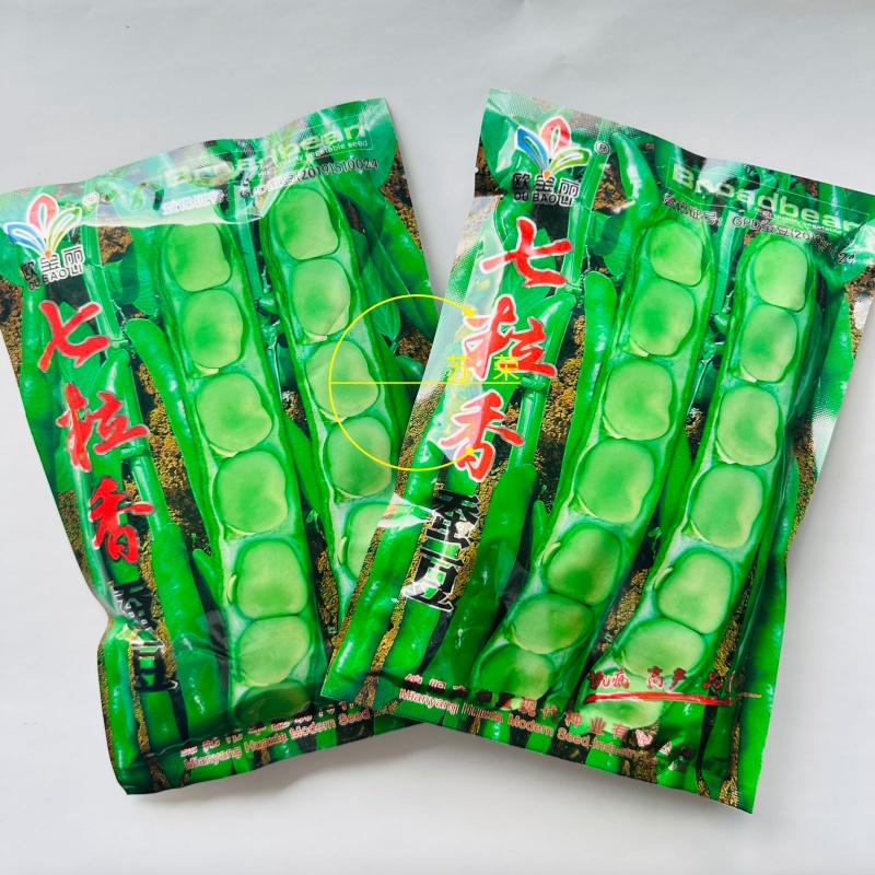 七粒香蚕豆种子鲜食蚕豆种籽南方北方农家菜园大田秋季播蚕豆
