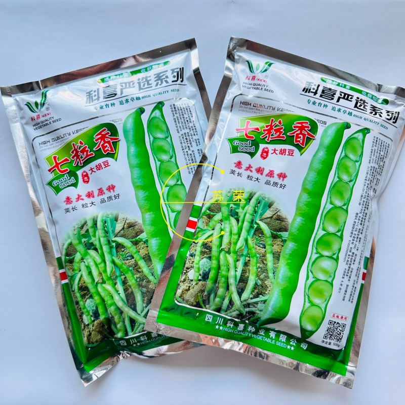 科喜严选七粒香大胡豆种子高产荚长大粒蚕豆种子秋冬季种蚕豆