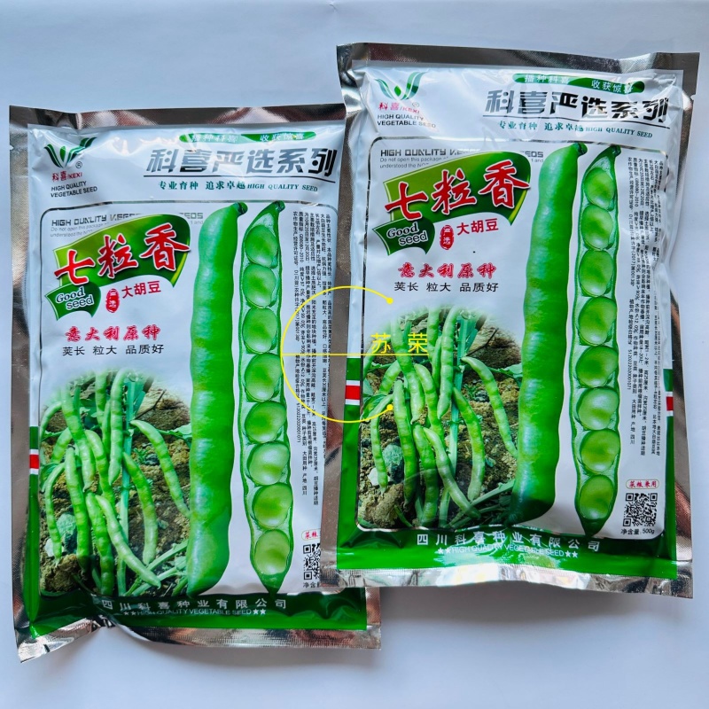 科喜严选七粒香大胡豆种子高产荚长大粒蚕豆种子秋冬季种蚕豆