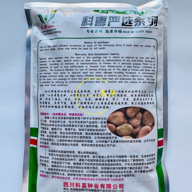 科喜严选七粒香大胡豆种子高产荚长大粒蚕豆种子秋冬季种蚕豆