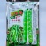科喜严选七粒香大胡豆种子高产荚长大粒蚕豆种子秋冬季种蚕豆