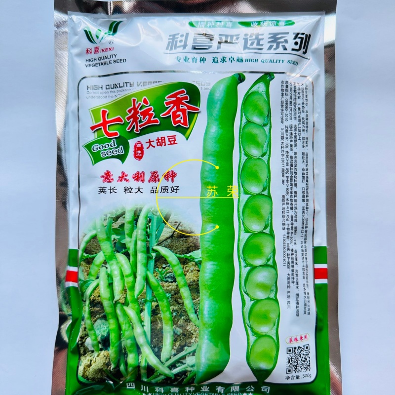 科喜严选七粒香大胡豆种子高产荚长大粒蚕豆种子秋冬季种蚕豆