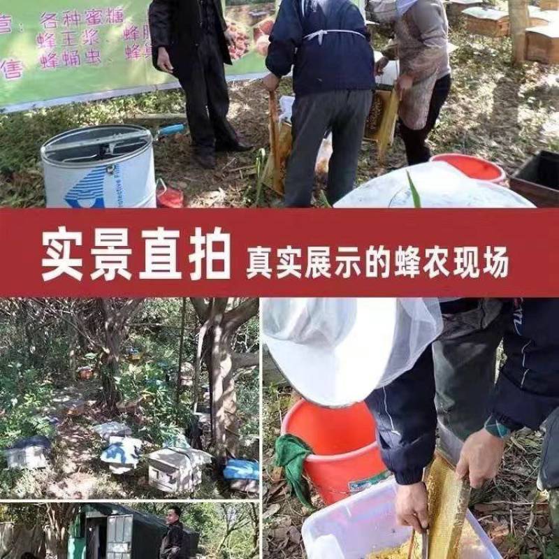 新疆土蜂蜜甜而不腻纯手工养殖源头资源