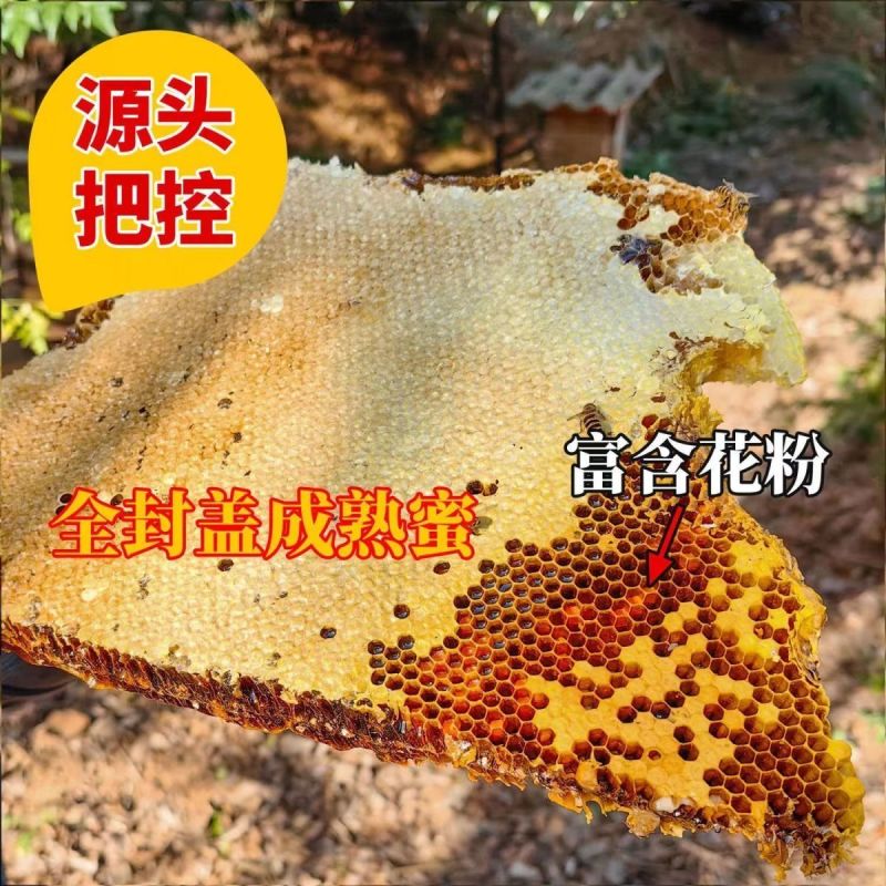 新疆土蜂蜜甜而不腻纯手工养殖源头资源