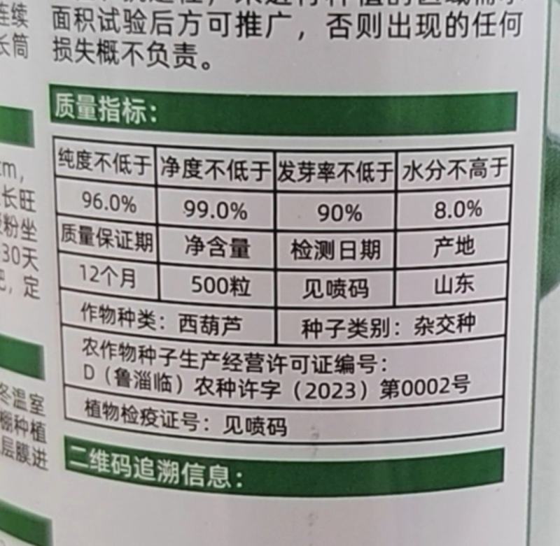 西葫芦种子绿美88翠绿色耐寒瓜条顺直越冬早春品种