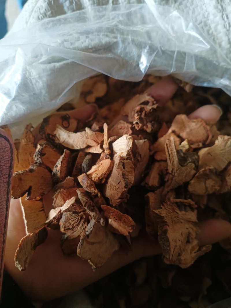 金荞麦一一一野生无硫批发干货产地直发一手货源