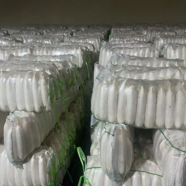 精品白萝卜