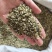 火麻仁去壳祥泰药材栈中药材批发零售实物拍摄量多从优