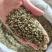 火麻仁去壳祥泰药材栈中药材批发零售实物拍摄量多从优
