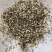 火麻仁去壳祥泰药材栈中药材批发零售实物拍摄量多从优