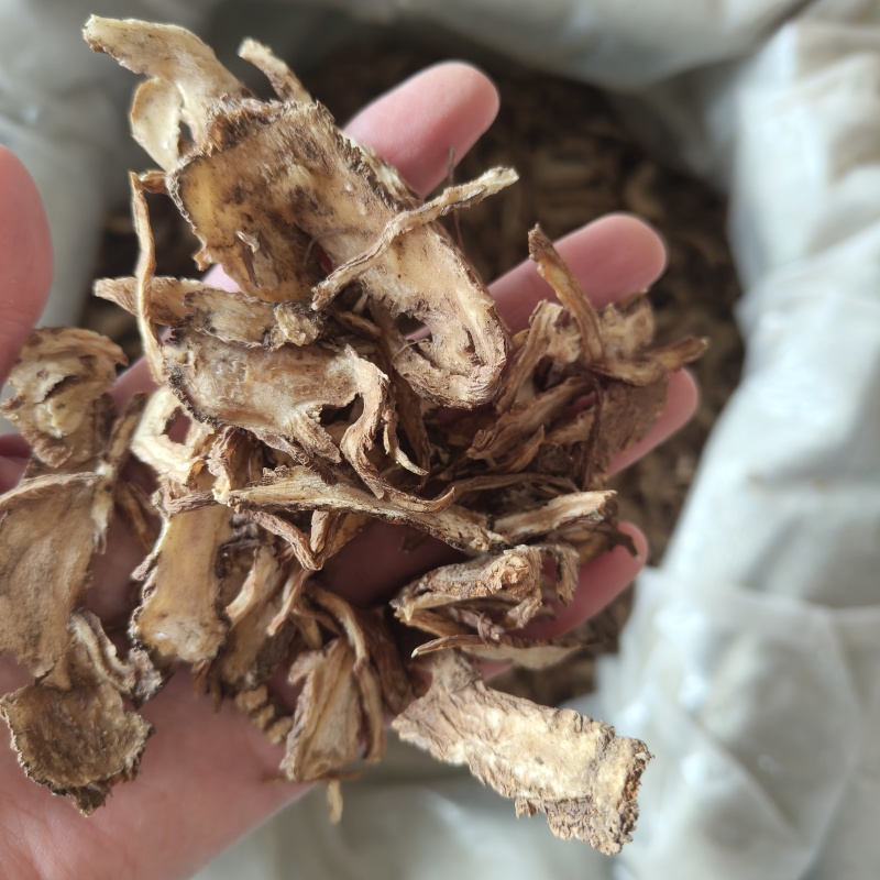 当归全归过2个筛祥泰药材栈中药材批发零售实物拍摄