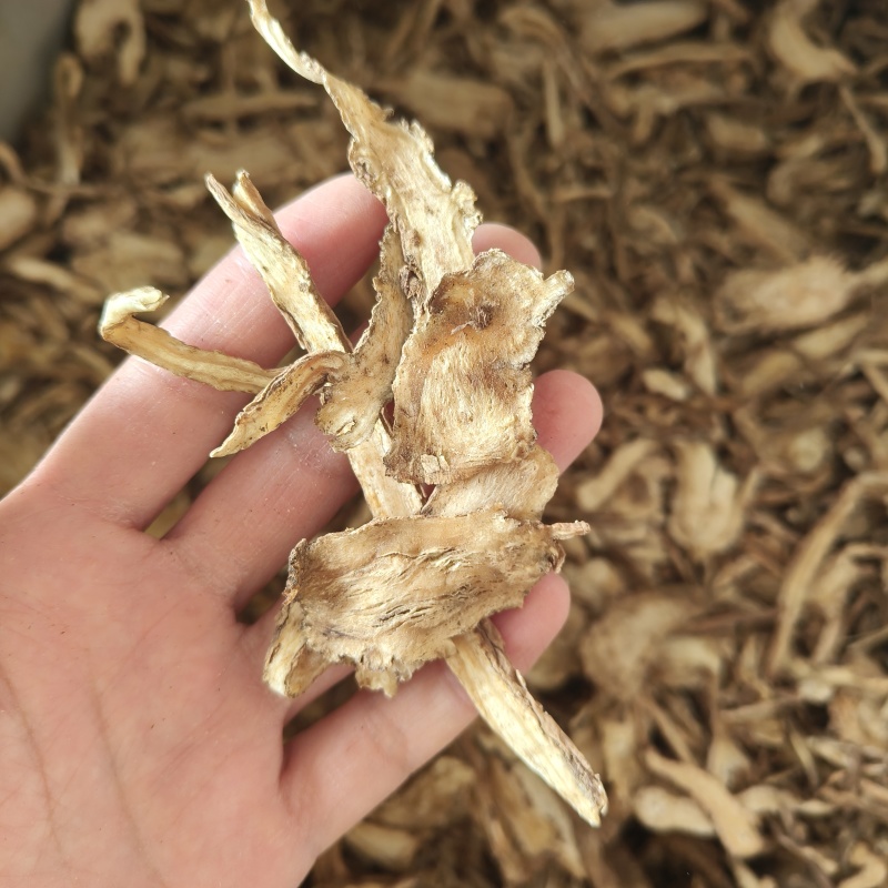 当归全归过2个筛祥泰药材栈中药材批发零售实物拍摄