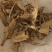 当归全归过2个筛祥泰药材栈中药材批发零售实物拍摄