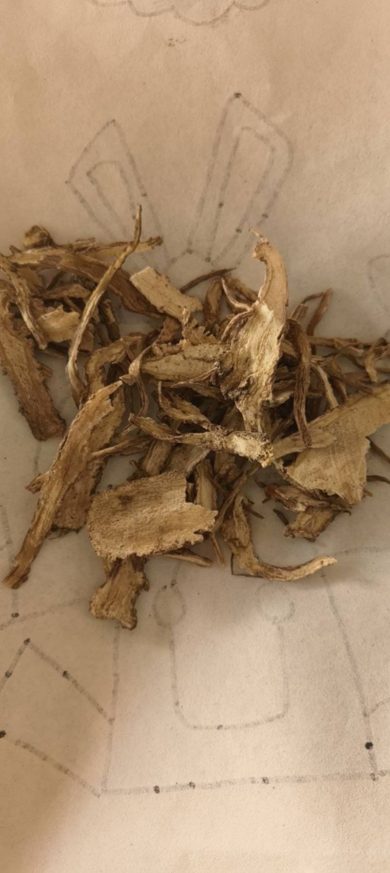 当归全归过2个筛祥泰药材栈中药材批发零售实物拍摄