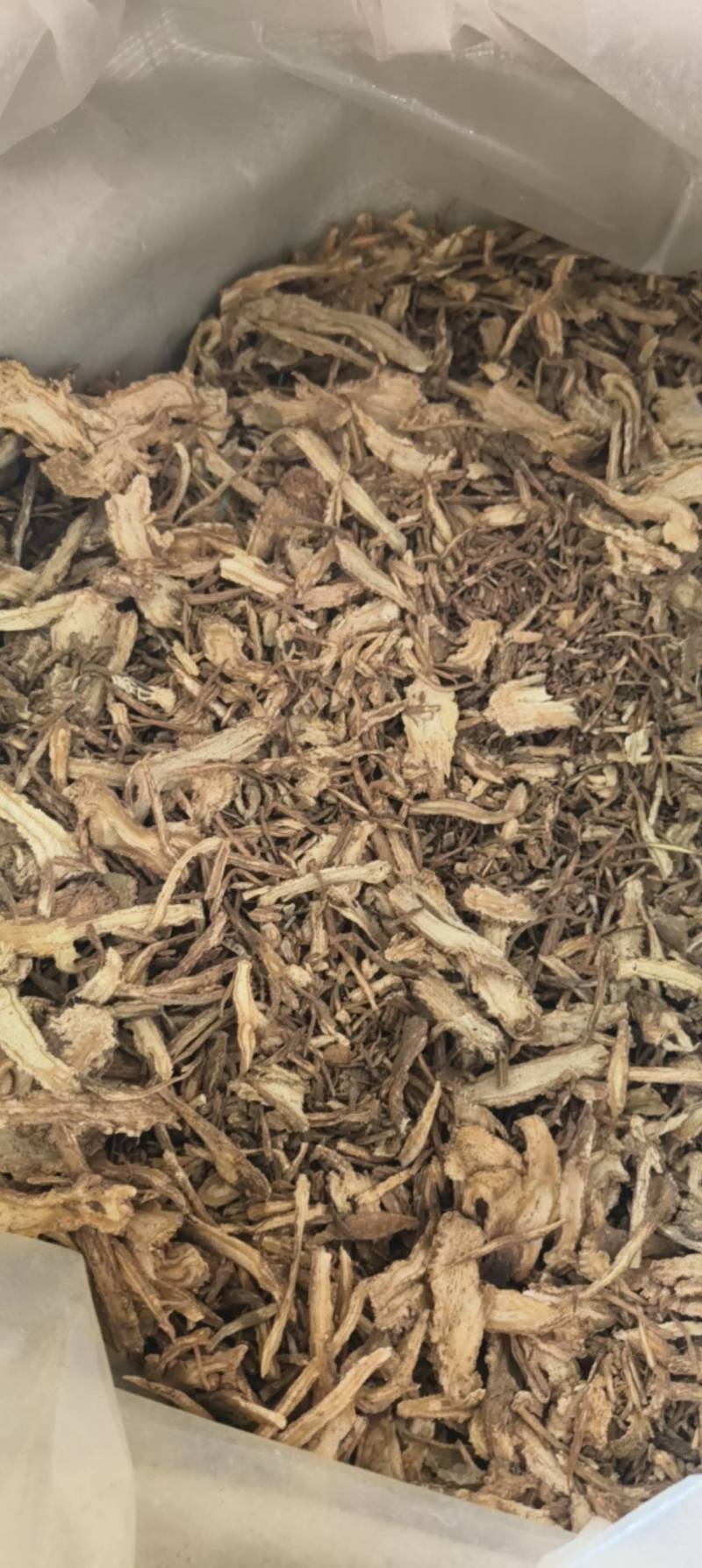 当归全归过2个筛祥泰药材栈中药材批发零售实物拍摄