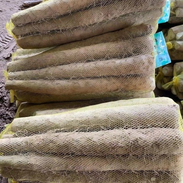 电商，社区团购货。山药，双棒山药，大量有货。