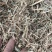 风选柔丝软包花生秧