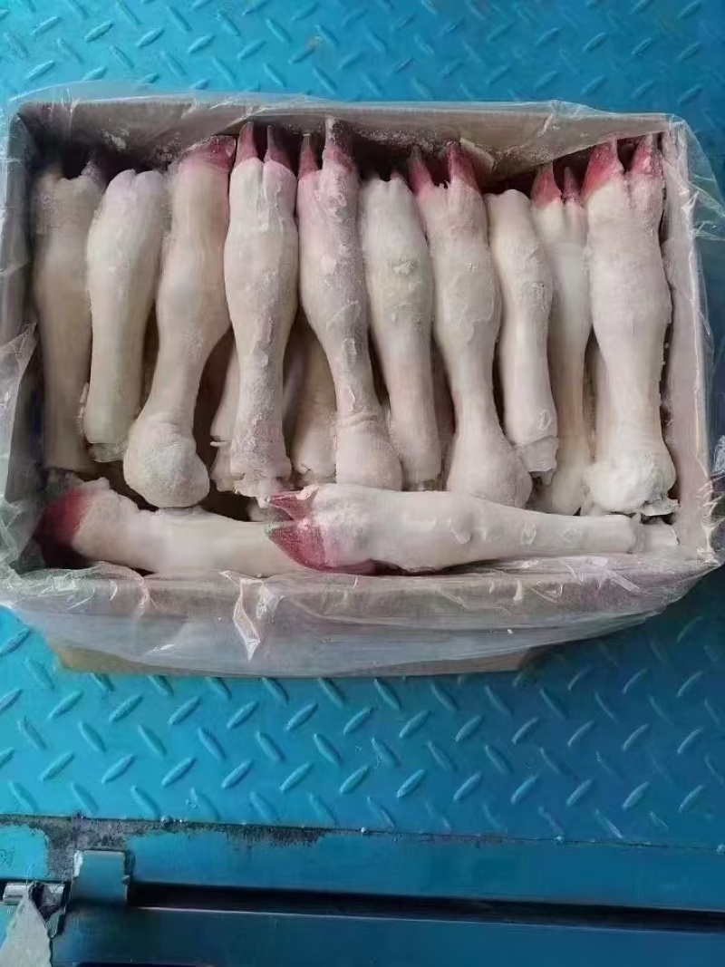 育肥白蹄，红蹄，花蹄，抽筋，不抽筋大小规格都有。