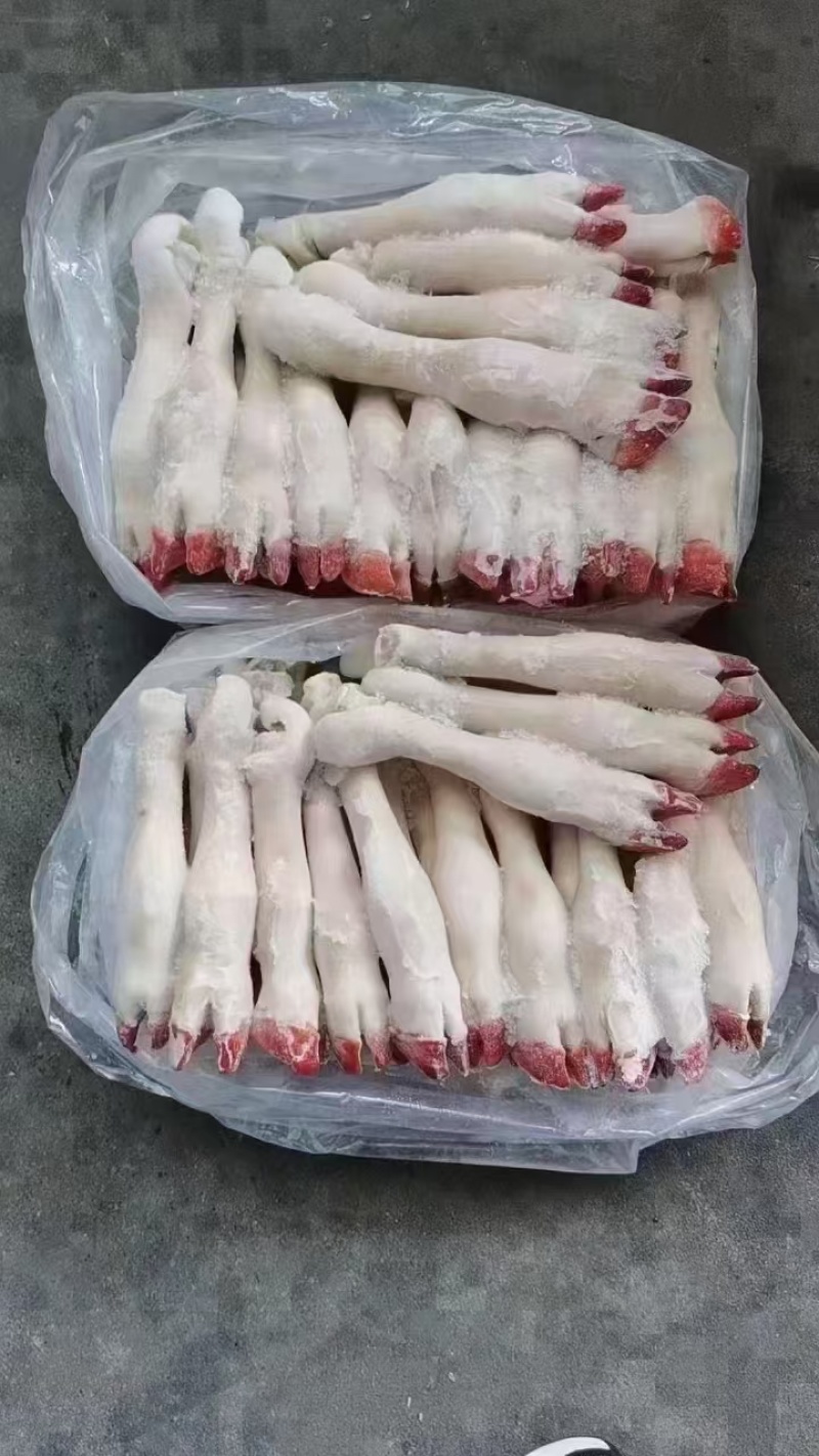 育肥白蹄，红蹄，花蹄，抽筋，不抽筋大小规格都有。