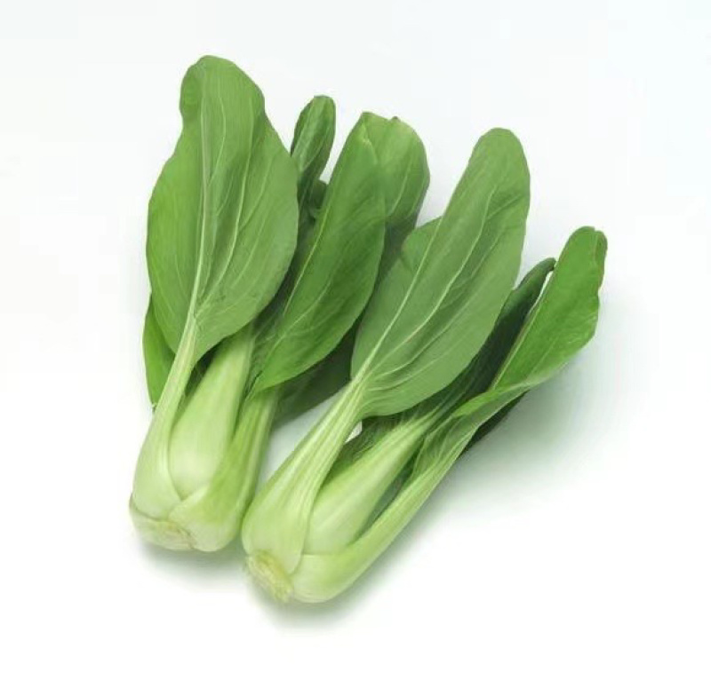 上海青，小油菜，四川，陆地大面积上市。