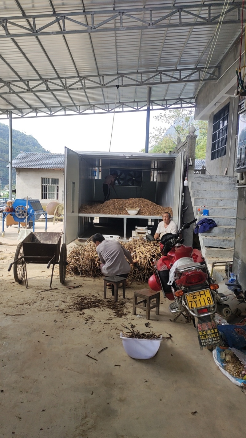 云南砂仁根中药材中药根茎药材精品砂仁根现货大量供应