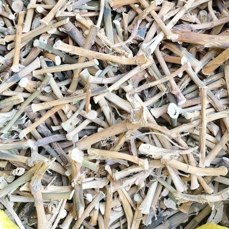 砂仁根精品中药材中药根茎药材精品砂仁根现货可视频看货