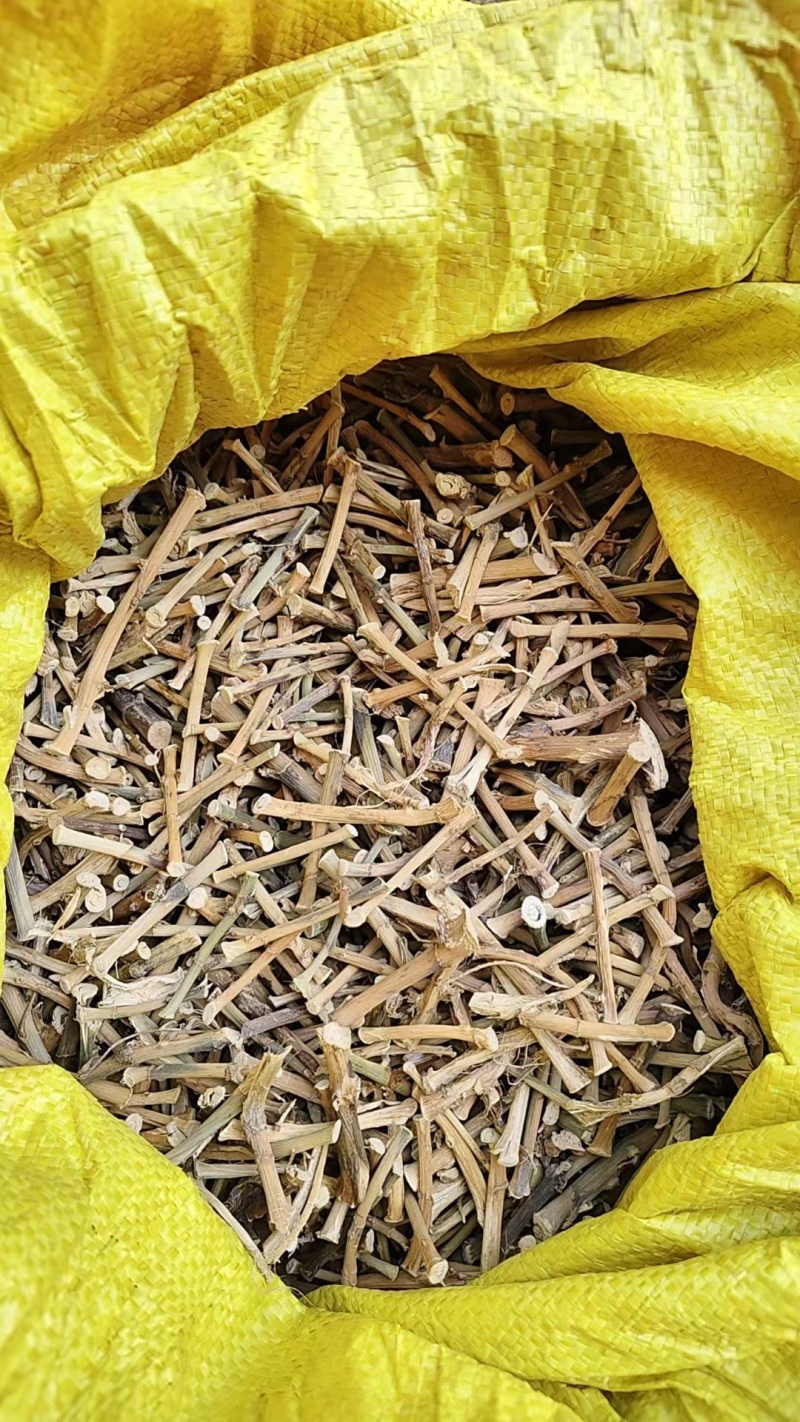 砂仁根精品中药材中药根茎药材精品砂仁根现货可视频看货