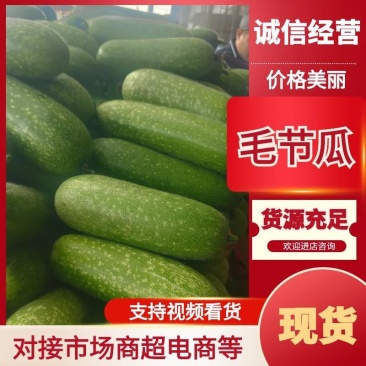 湛江、毛节瓜、节瓜、小东瓜、毛东瓜，一手货源、产地直发