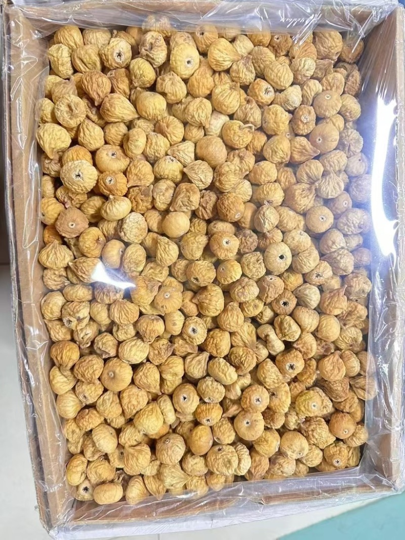 伊朗无花果开花不开花