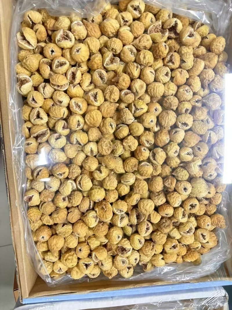 伊朗无花果开花不开花