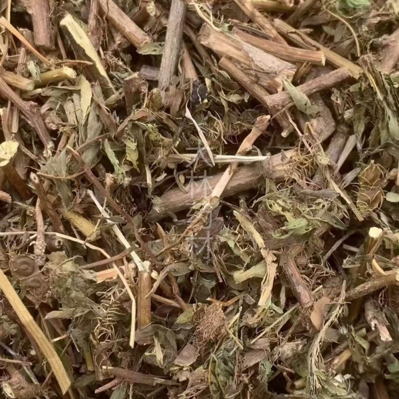 含羞草【包邮】三斤起发货可批量可零售量大从优