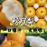 秋月梨河北秋月梨产地直销农超对接货源充足