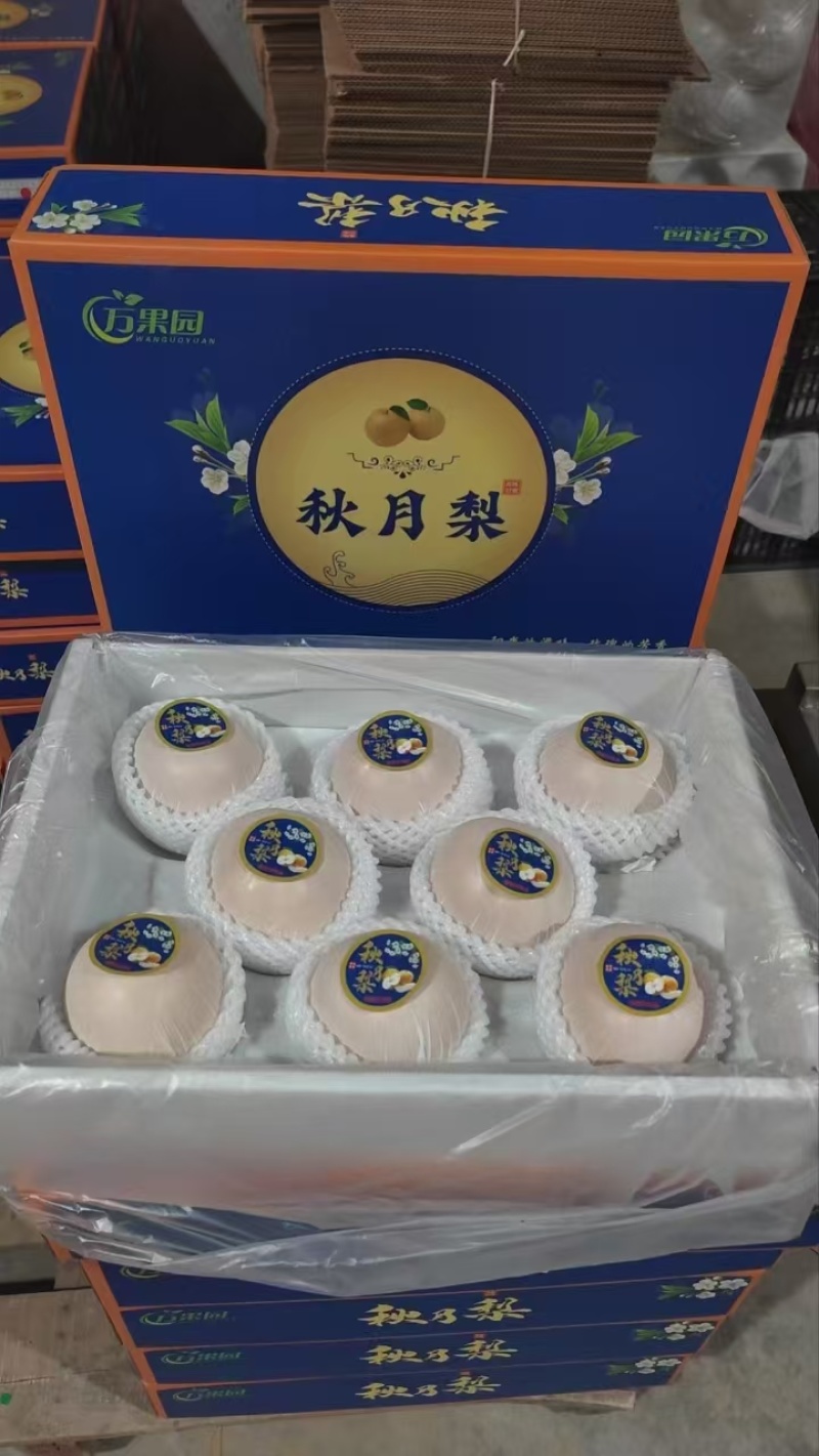 秋月梨河北秋月梨产地直销农超对接货源充足