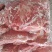 一号肉
