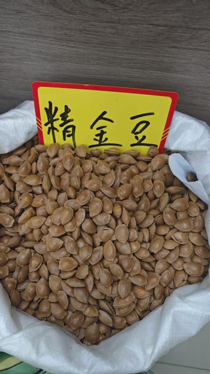 开口杏核