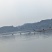 水库花鲢鱼苗