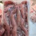 冻海肠辽宁直发可供饭店自助餐用冷链发货量大优惠