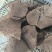 纯干熟牛肉滨州熟牛肉无添加牛后腿肉现煮现发长期供货