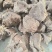 纯干熟牛肉滨州熟牛肉无添加牛后腿肉现煮现发长期供货