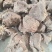 大块熟牛肉后腿肉熟牛肉源头工厂长期加工全部都是后腿肉加工