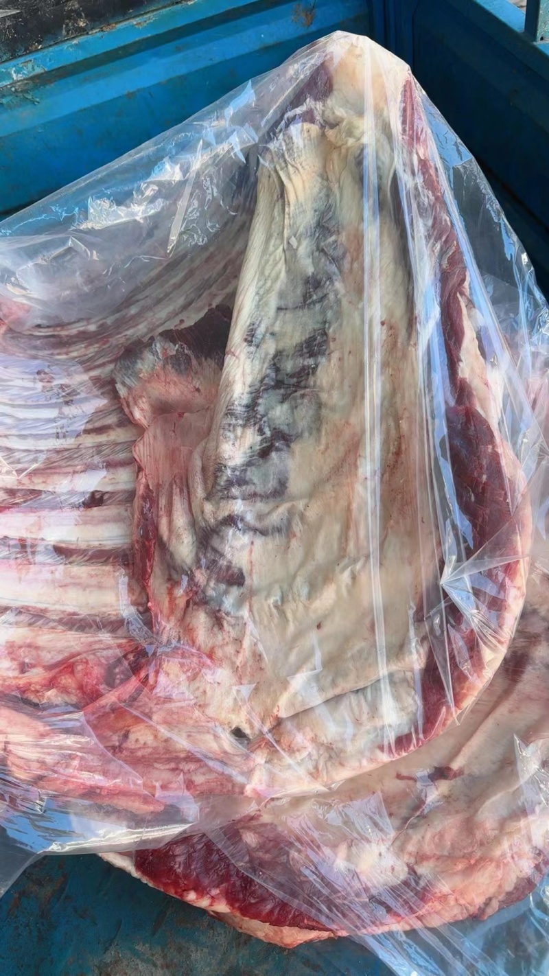 鲜牛排骨纯干鲜牛排，自家养殖现宰现杀厂家直发量大优惠