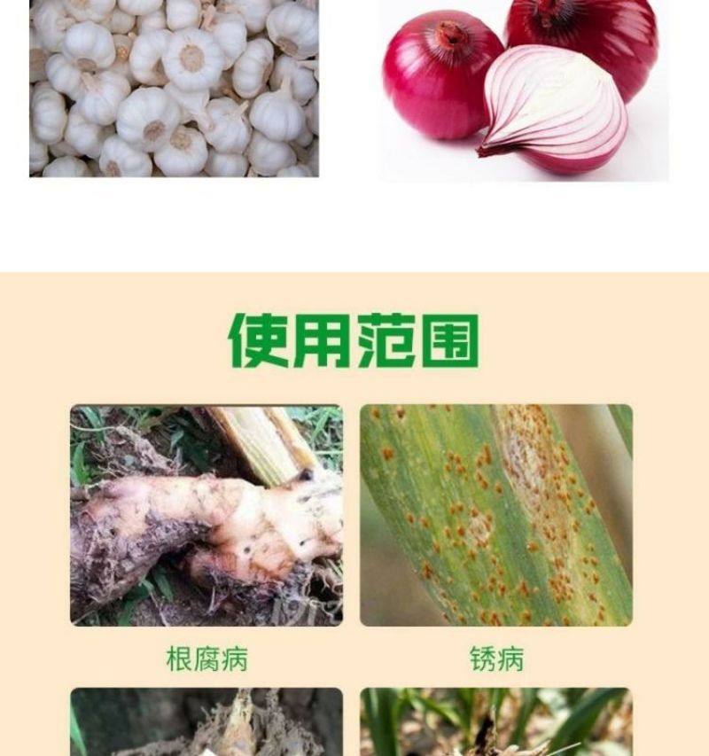 葱姜蒜菌净韭菜干尖灵黄叶一喷绿大葱大姜大蒜韭菜黄叶卷叶病