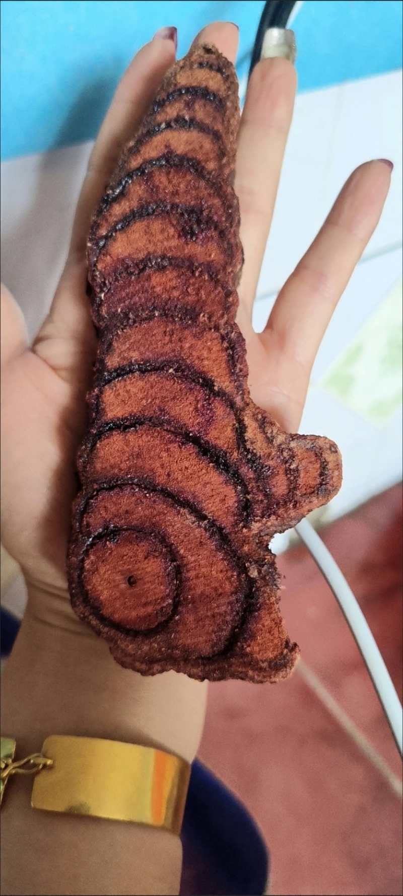 精品鸡血藤大血藤质量好，一首货源全国批发零售