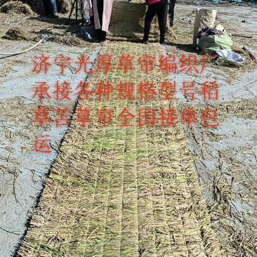 稻草苫草帘