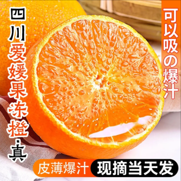 爱媛果冻橙，皮薄多汁，现摘现发，当季新鲜爱媛