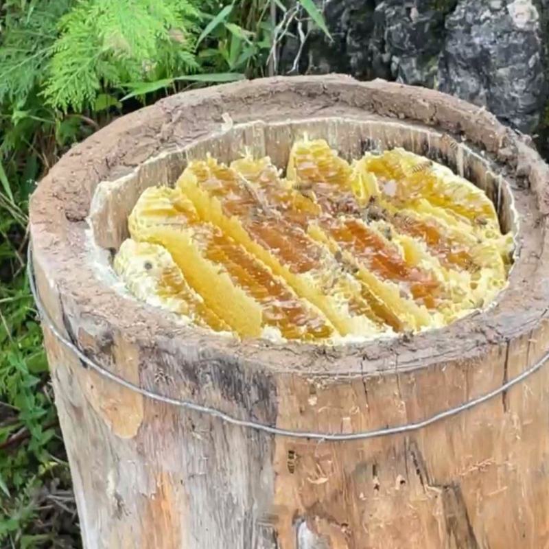 大凉山百花蜂蜜