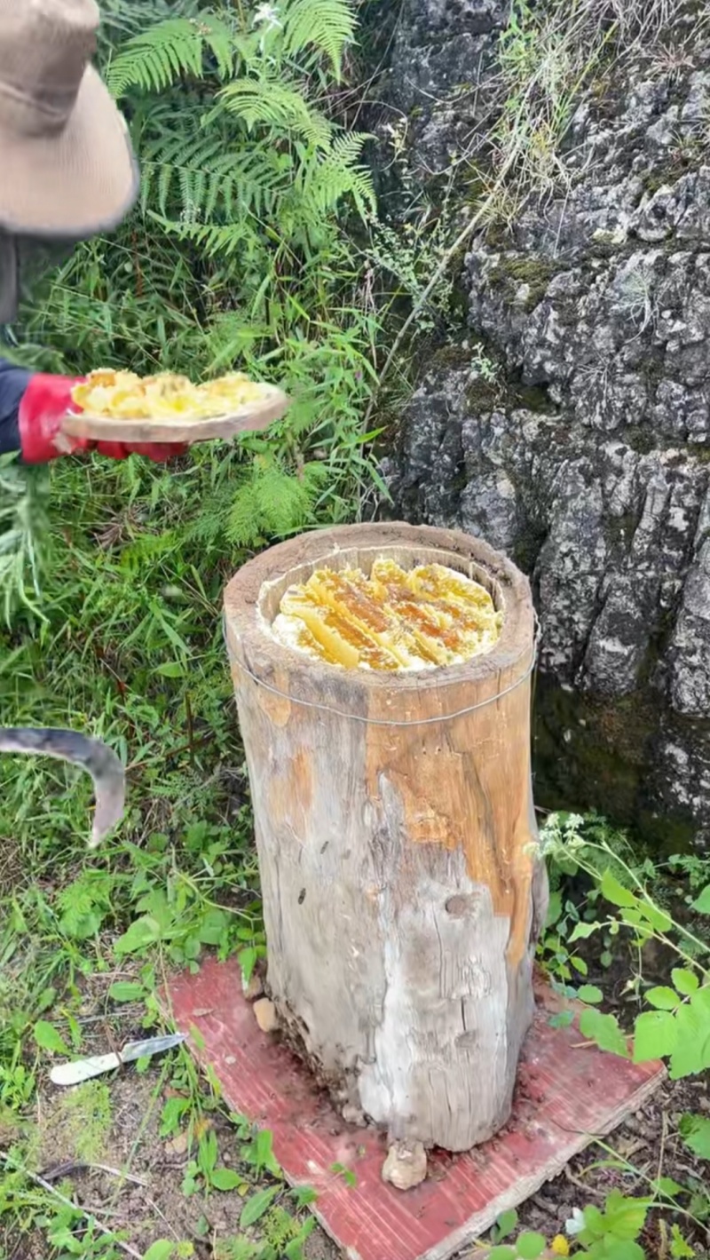 大凉山百花蜂蜜