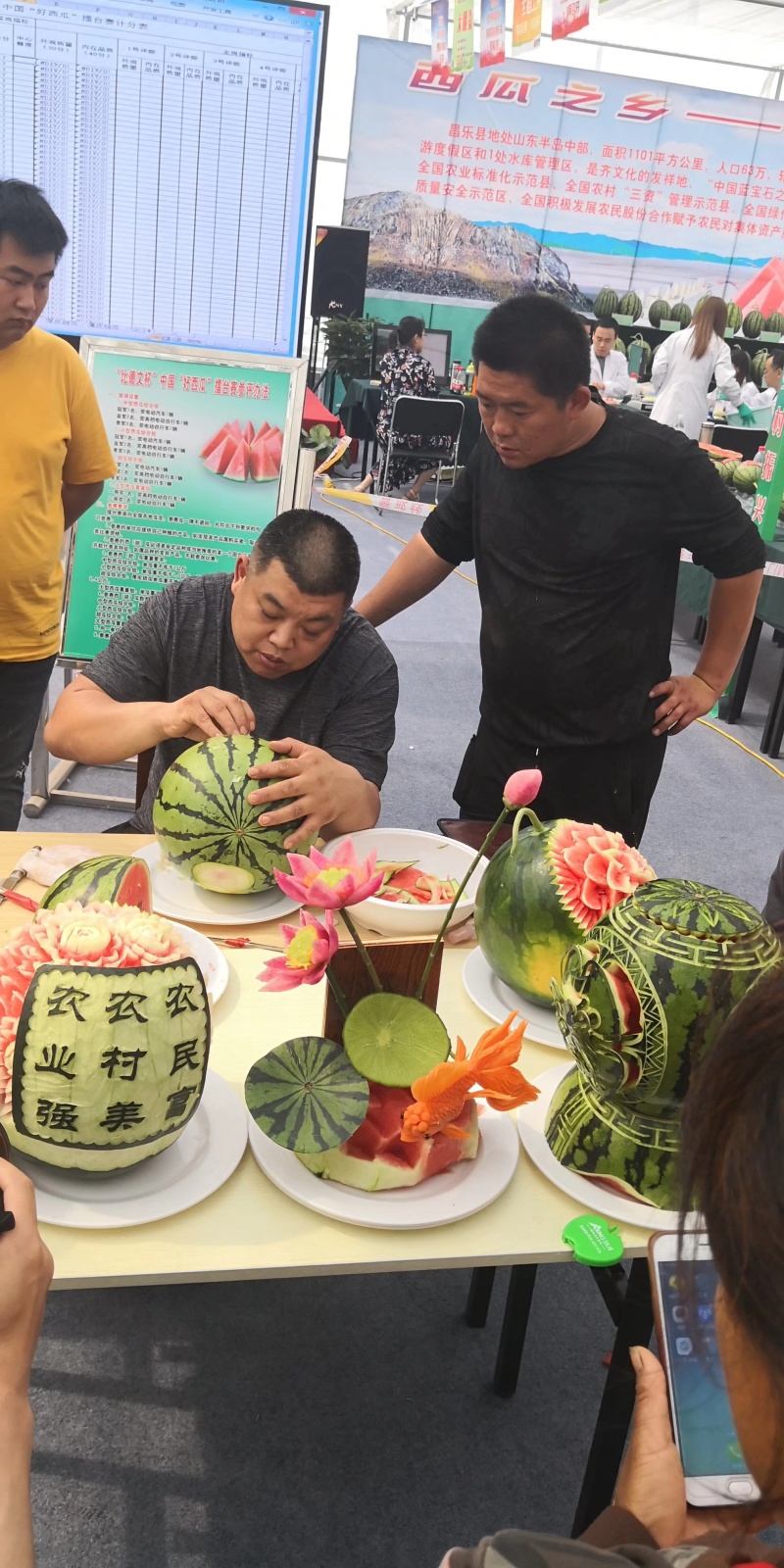 凯卓立东方正大早熟大果无籽西瓜种子单瓜20斤耐寒耐热耐裂