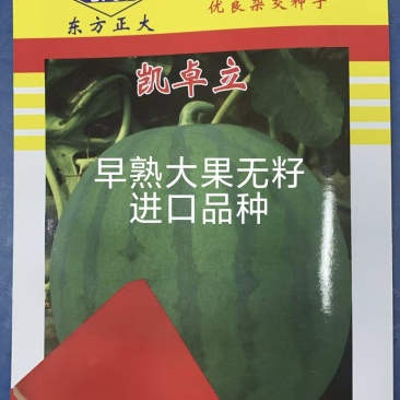 凯卓立东方正大早熟大果无籽西瓜种子单瓜20斤耐寒耐热耐裂
